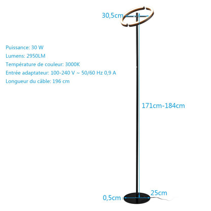 Lampadaire Sur Pied LED 30W 2950 Lumen 3000K Blanc Chaud Avec Commande Tactile Noir